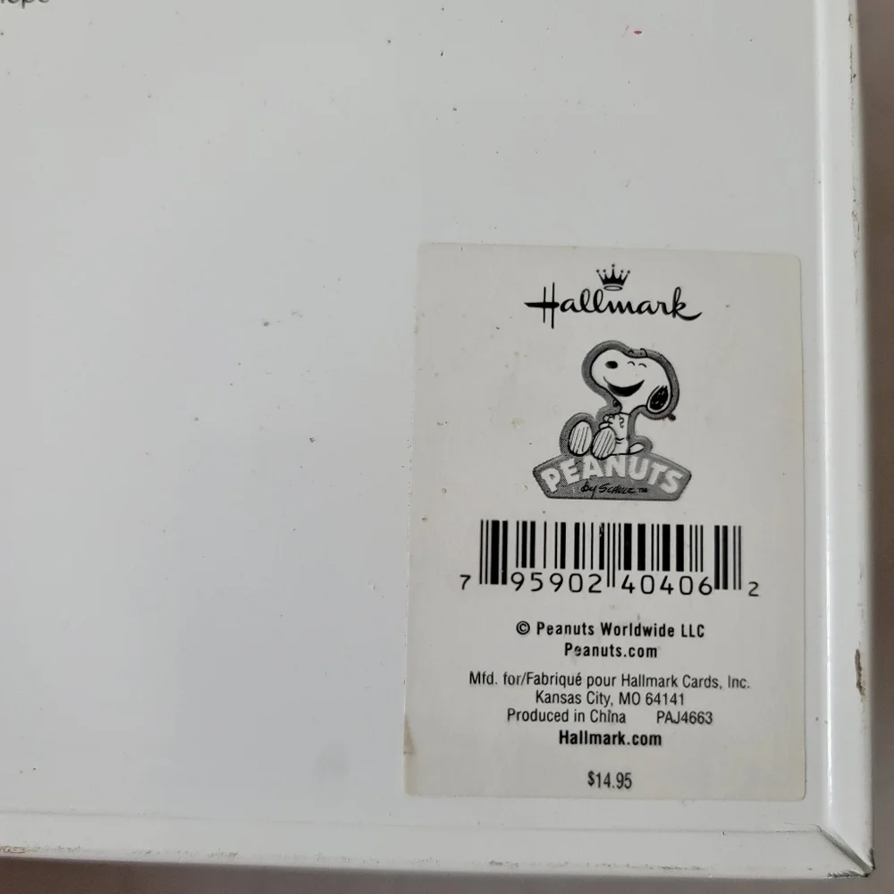 Hallmark Peanuts Charlie Brown Clubhouse Game Day Metal Plaque Wall Decor
